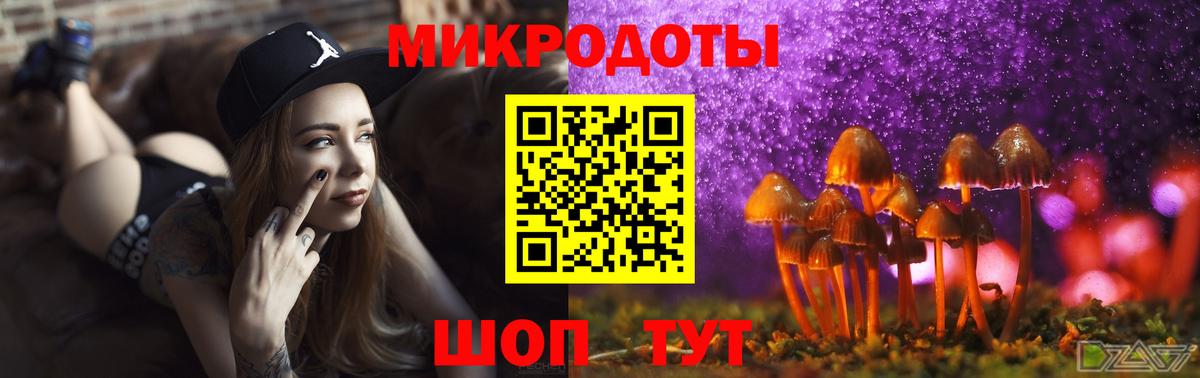 Муром  Галлюциногенные грибы Cubensis  Вход с VPN 